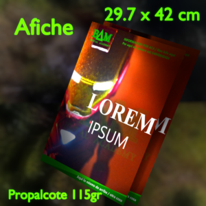 Afiches 4x0 Cote 115gr